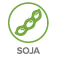 Soja allergie